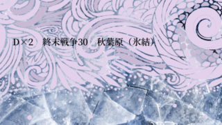 真・女神転生D×2　終末戦争30　氷結